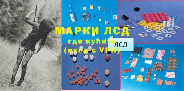 эйфоретик Алзамай