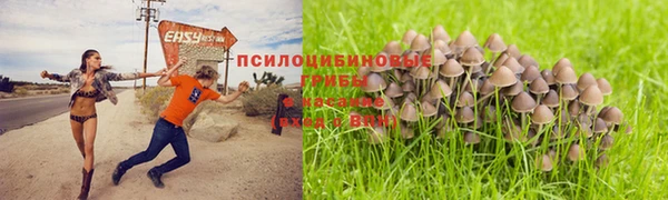 марки lsd Алексеевка
