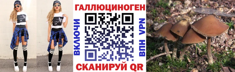 Галлюциногенные грибы Magic Shrooms  omg ТОР  Спасск-Рязанский  даркнет сайт 